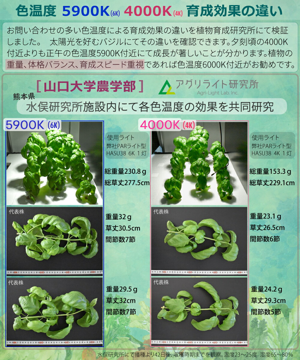 楽天市場】HaruDesign 植物育成ライト GL-A 6K FtW ブラックボディ