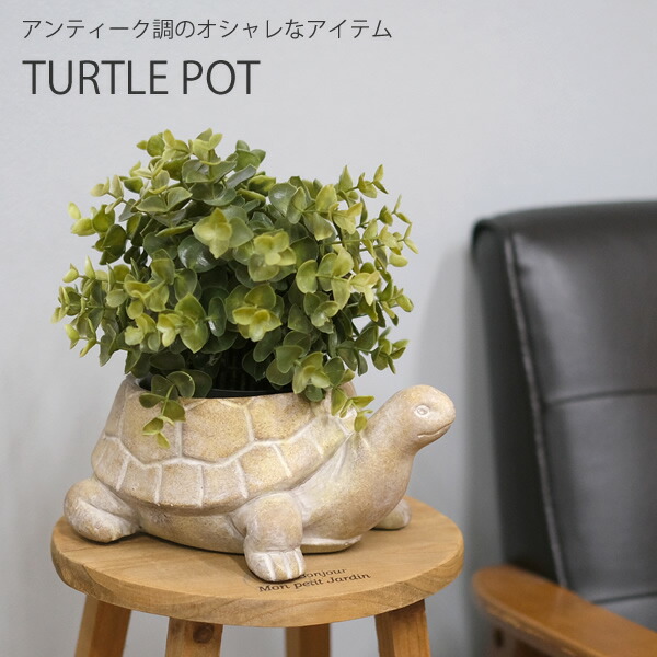楽天市場】【新商品】CN20 シャンタルタートル 亀 カメ 鉢 鉢カバー