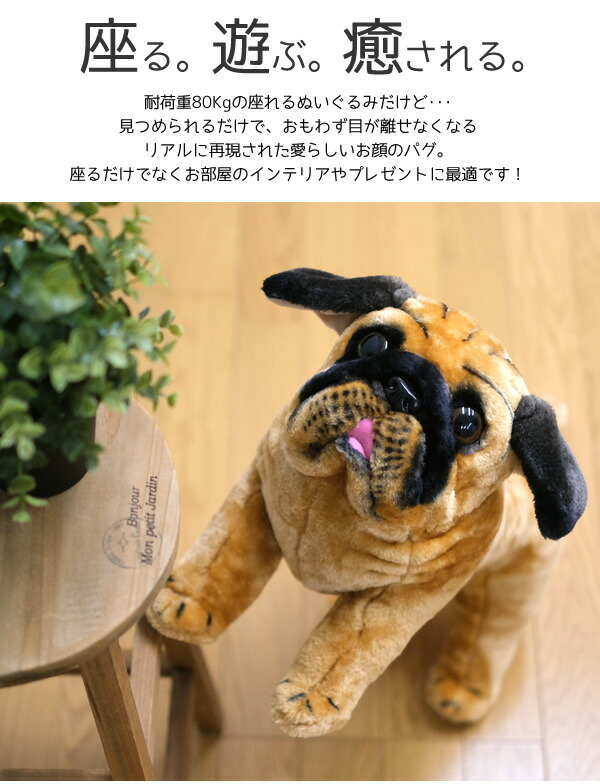 楽天市場】【有料ラッピング】【送料無料】パグ ドッグ 座れる 乗れる