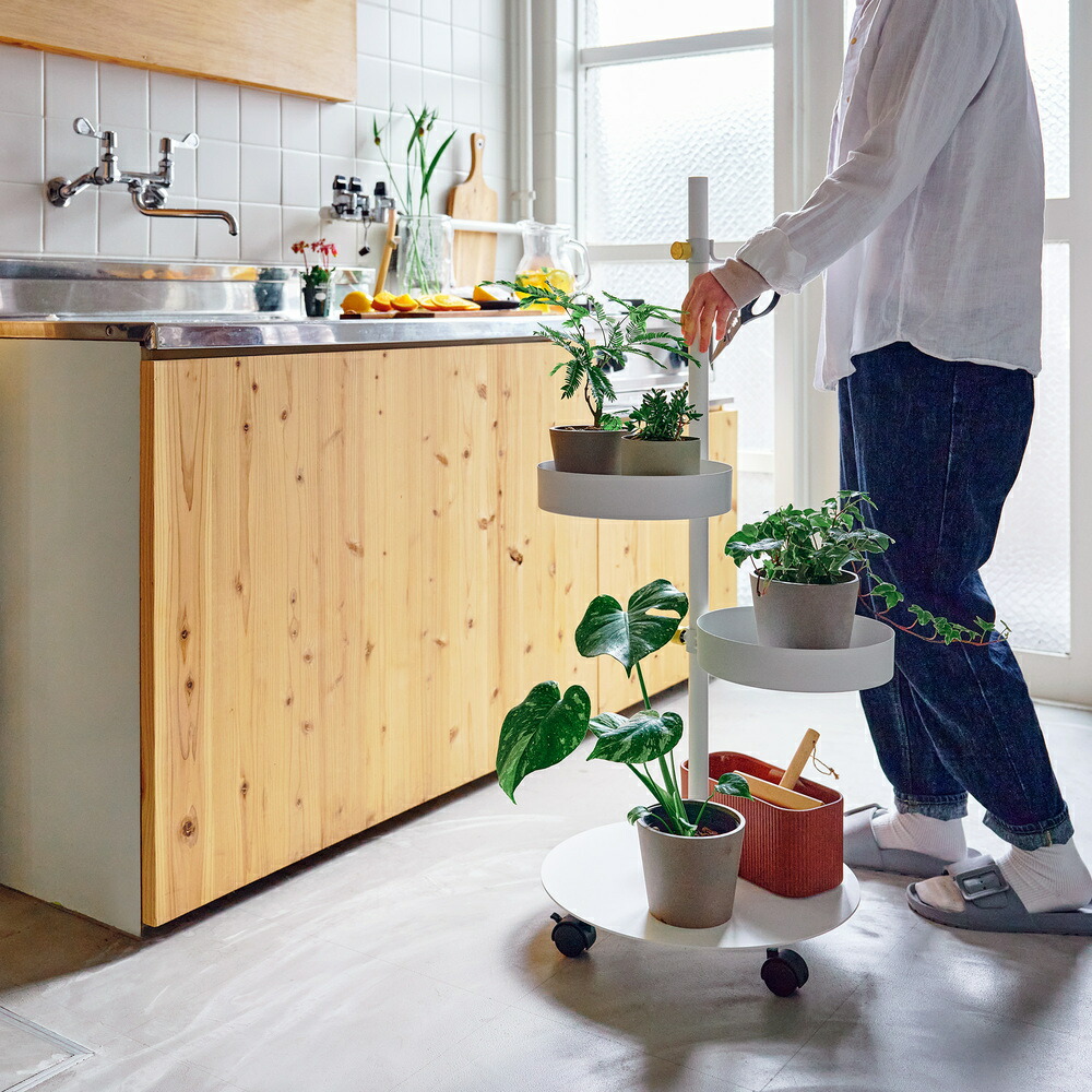 楽天市場】【公式】DRAW A LINE ドローアラインMove SET Hook B+Tray×2