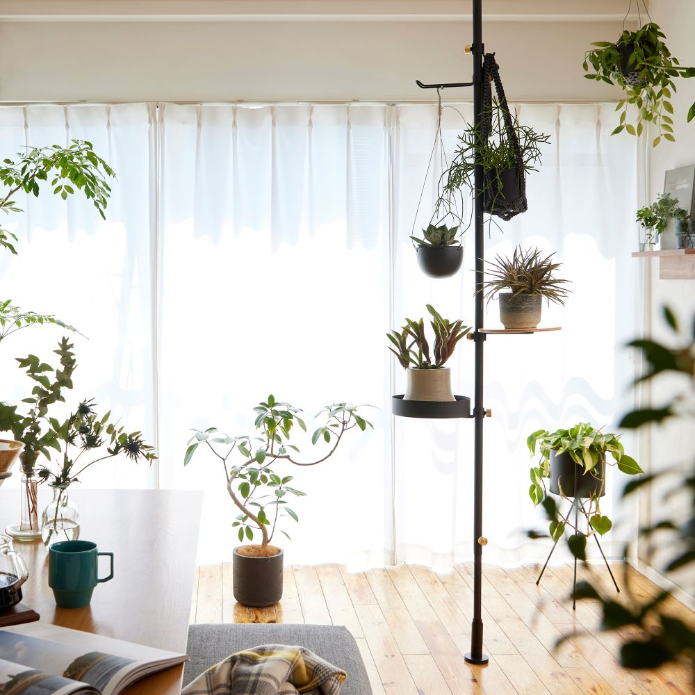 楽天市場】【公式】DRAW A LINE ドローアライン モリモリツリー SET