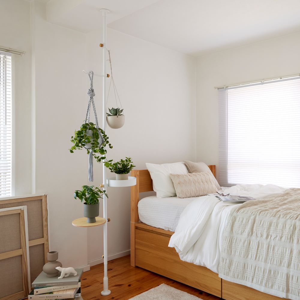 楽天市場】【公式】DRAW A LINE ドローアライン モリモリツリー SET