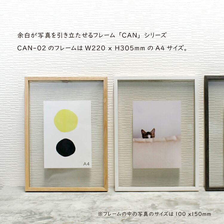楽天市場】【2月25日 5％OFFクーポン】フォトフレーム A4 CAN-02 全2色