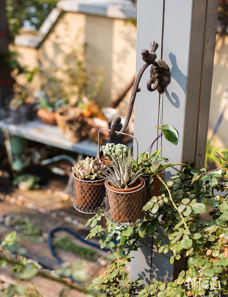 楽天市場】ガーデンオーナメント ウォールフック 一羽の鳥