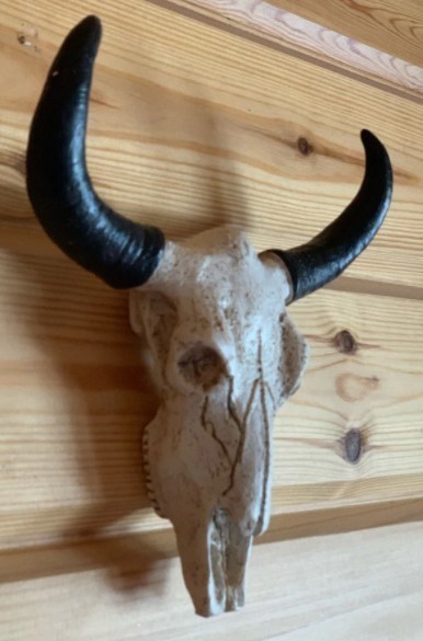楽天市場】ハンティングトロフィー 牛骨 頭蓋骨 壁掛けアクセサリー