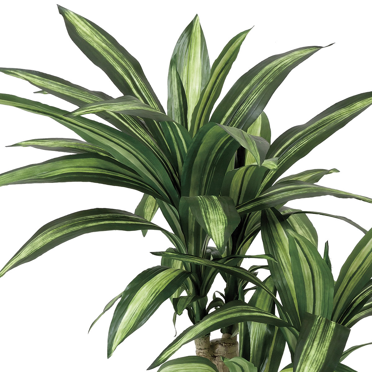 楽天市場】光触媒 人工観葉植物光の楽園 幸福の木 高さ1.1mフェイク