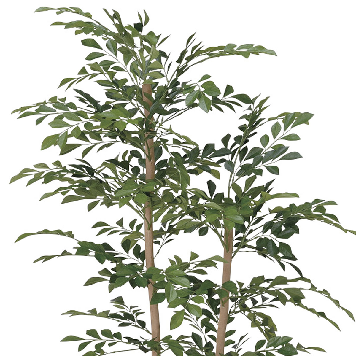 楽天市場】光触媒 光の楽園 トネリコ 1.2m【インテリア フェイク