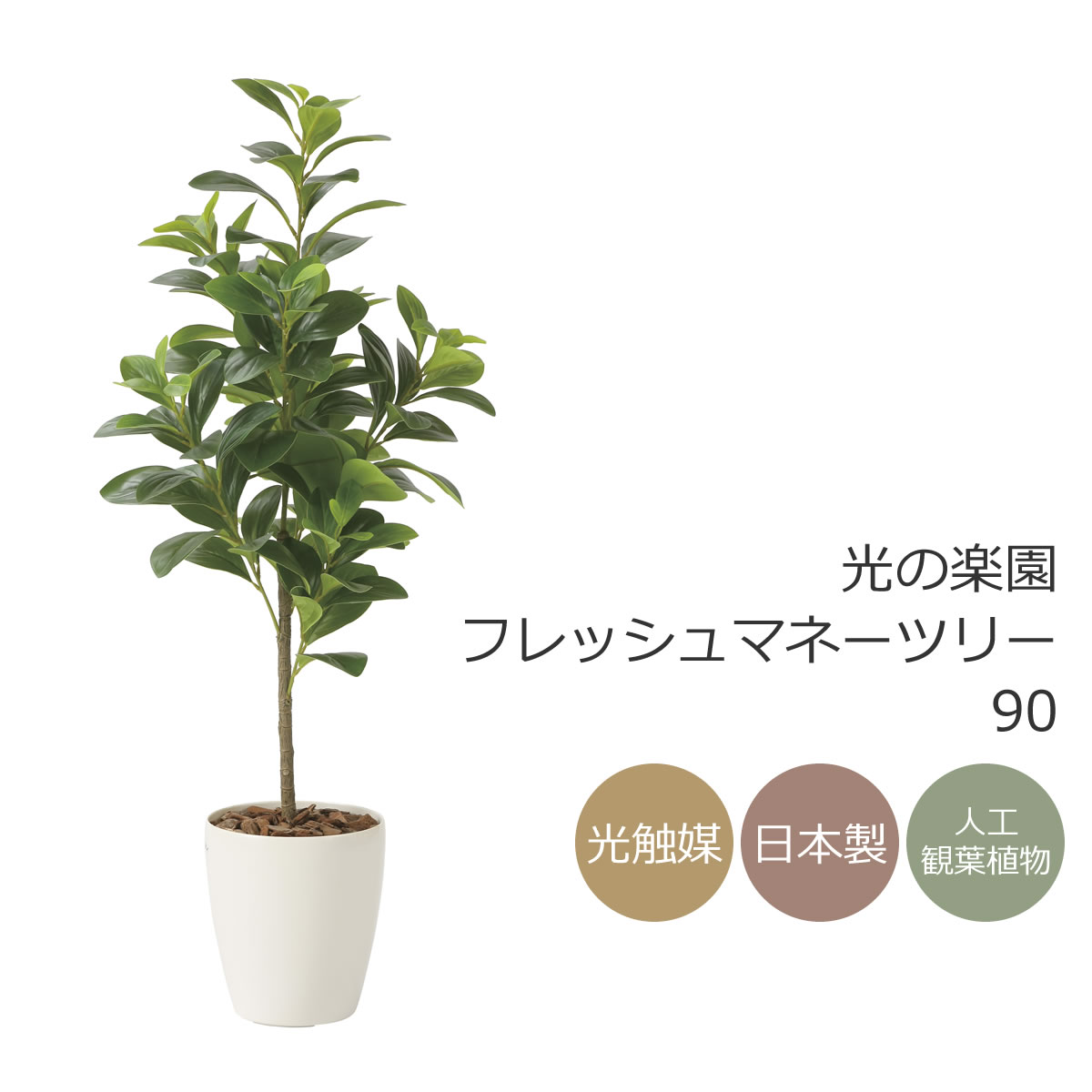 楽天市場】光触媒 光の楽園 フレッシュマネーツリー 90 フェイク