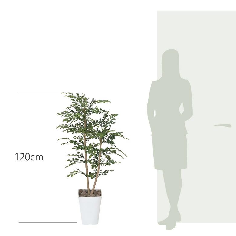 楽天市場】光触媒 光の楽園 トネリコ 1.2m【インテリア フェイク