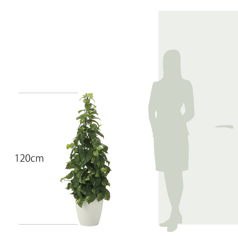 楽天市場】光触媒 光の楽園 フレッシュポトス1.2m フェイクグリーン