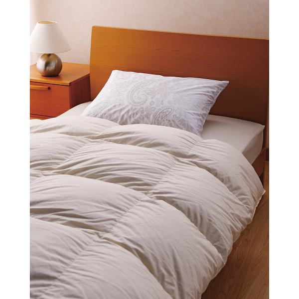 楽天市場】【お買い物マラソン限定クーポン配布中】 ピレネックス