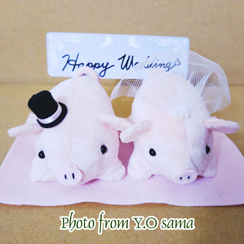 楽天市場】綿20g・ぬいぐるみ針付き ミニミニとんちゃん ウェルカム