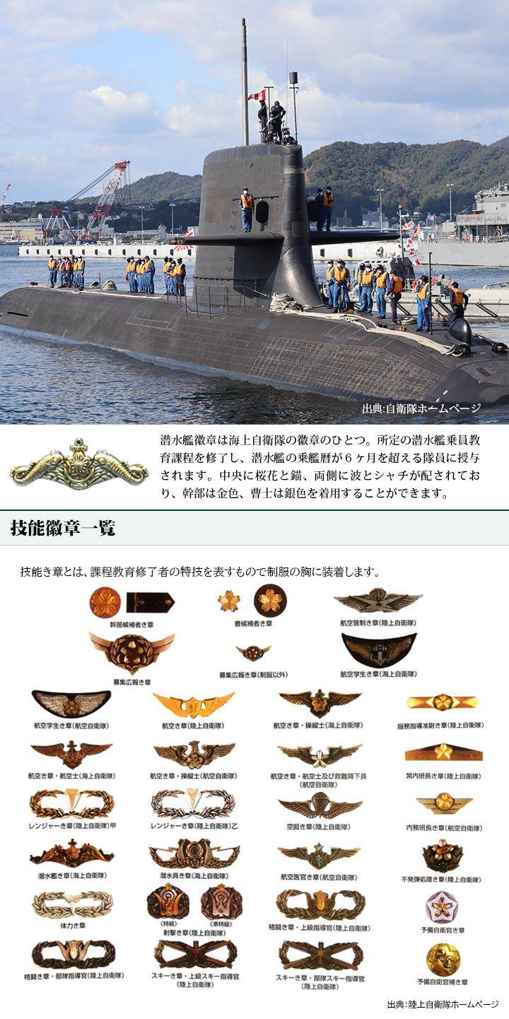 楽天市場】自衛隊 グッズ 海上自衛隊 艦艇 潜水艦 徽章 ドルフィン