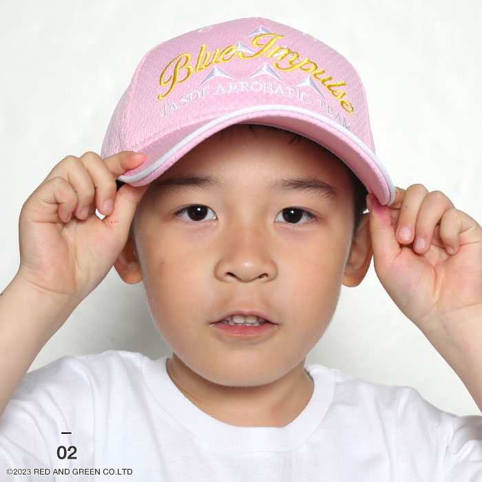 楽天市場】防衛省 自衛隊 グッズ ブルーインパルス エンブレム キッズ