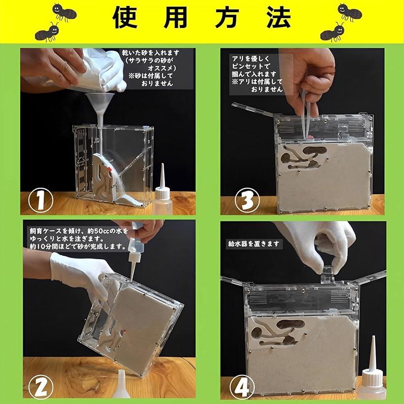 楽天市場】アリの巣 観察 キット 砂は別売 蟻 アリ飼育キット 飼育