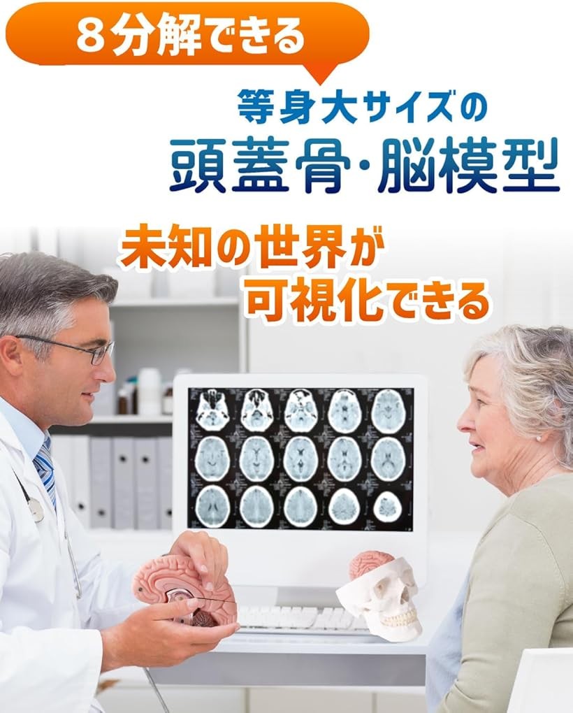 楽天市場】【楽天ランキング1位入賞】ソフトな質感で8分解できる脳模型