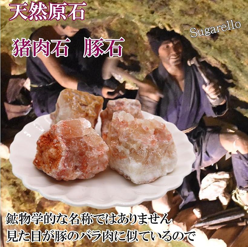 楽天市場】いのにくいし 豚石 鉱物 標本 天然石 原石 ヒーリング