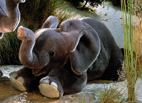 楽天市場】ケーセン ぬいぐるみ Kosen ベビーエレファント (伏せ) 46cm