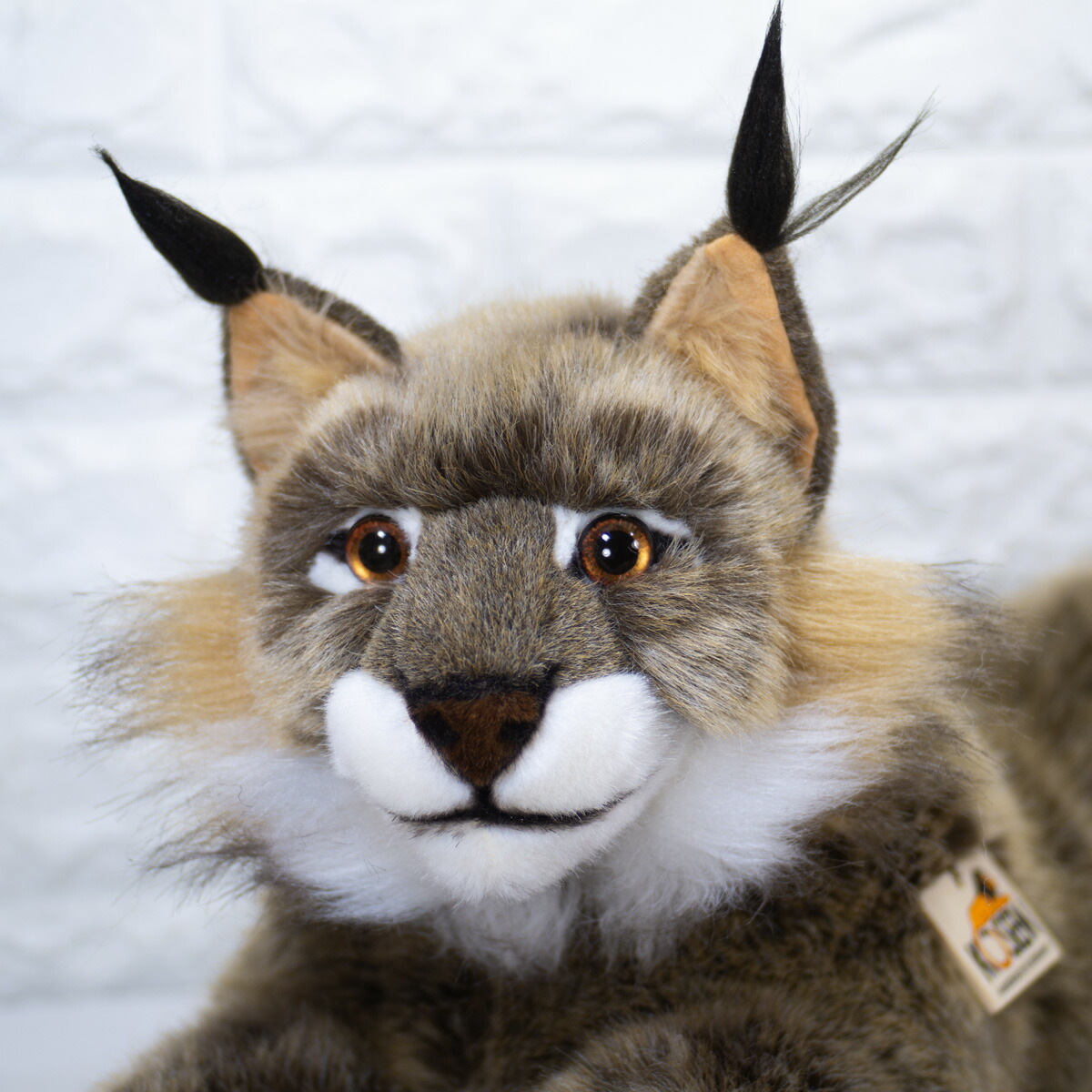 楽天市場】ケーセン ぬいぐるみ Kosen オオヤマネコ 伏せ 59cm Lynx