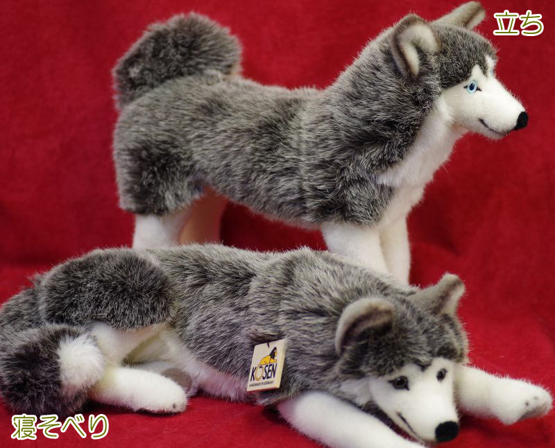 楽天市場】ケーセン ぬいぐるみ Kosen シベリアンハスキー 寝そべり