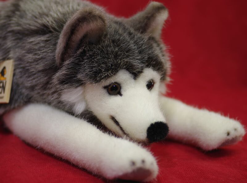 楽天市場】ケーセン ぬいぐるみ Kosen シベリアンハスキー 寝そべり