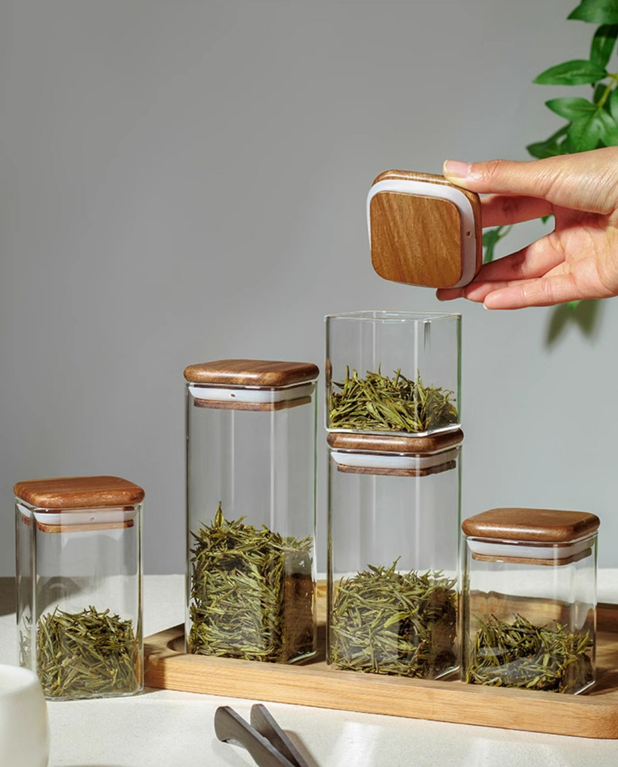 楽天市場】【Square】天然木の蓋 ガラスキャニスター 珈琲キャニスター