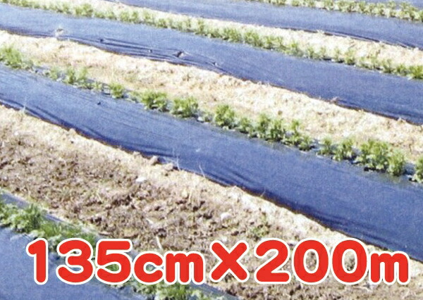 楽天市場】(送料無料）農業用 生分解性マルチ『カエルーチ』 0.018