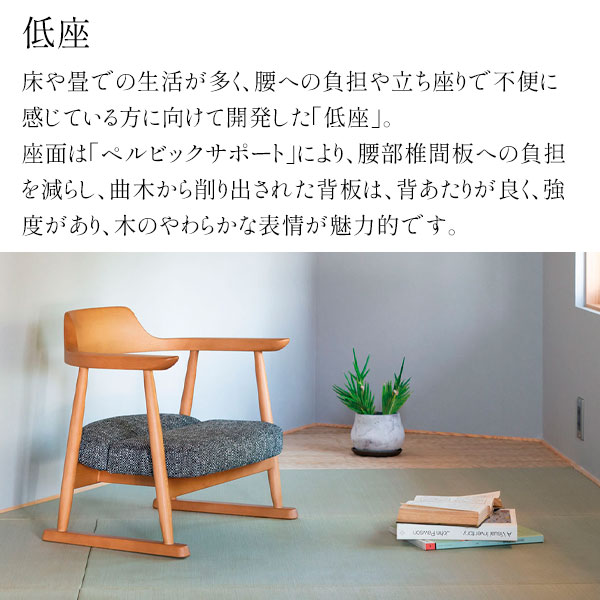 楽天市場】【マラソン限定!確率1/2で最大100％ポイントバック】 飛騨