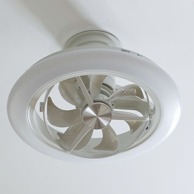 楽天市場】【楽天2位】ドウシシャ 【選べる豪華特典】 サーキュライト