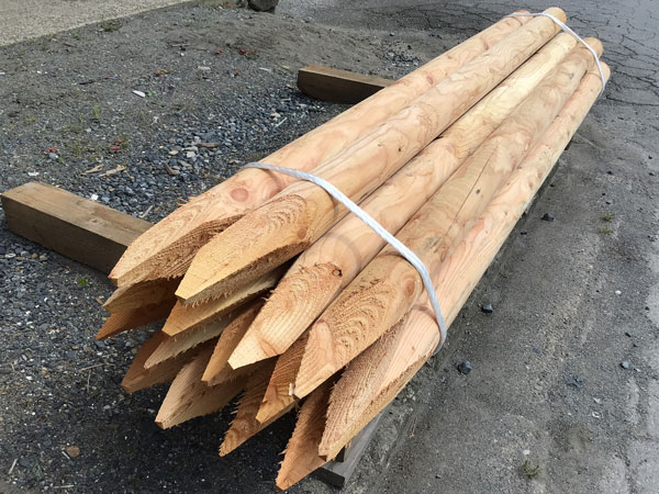 楽天市場】松（まつ）杭 ロータリー 長さ2M 90ミリ 1本先突け ※先突