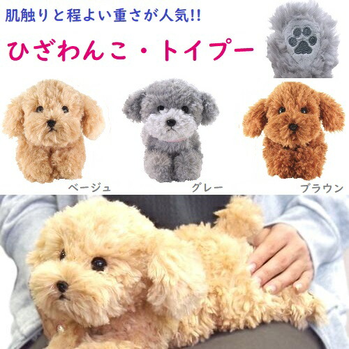 楽天市場】【送料無料】トイプードル ぬいぐるみトイプードル トイプー