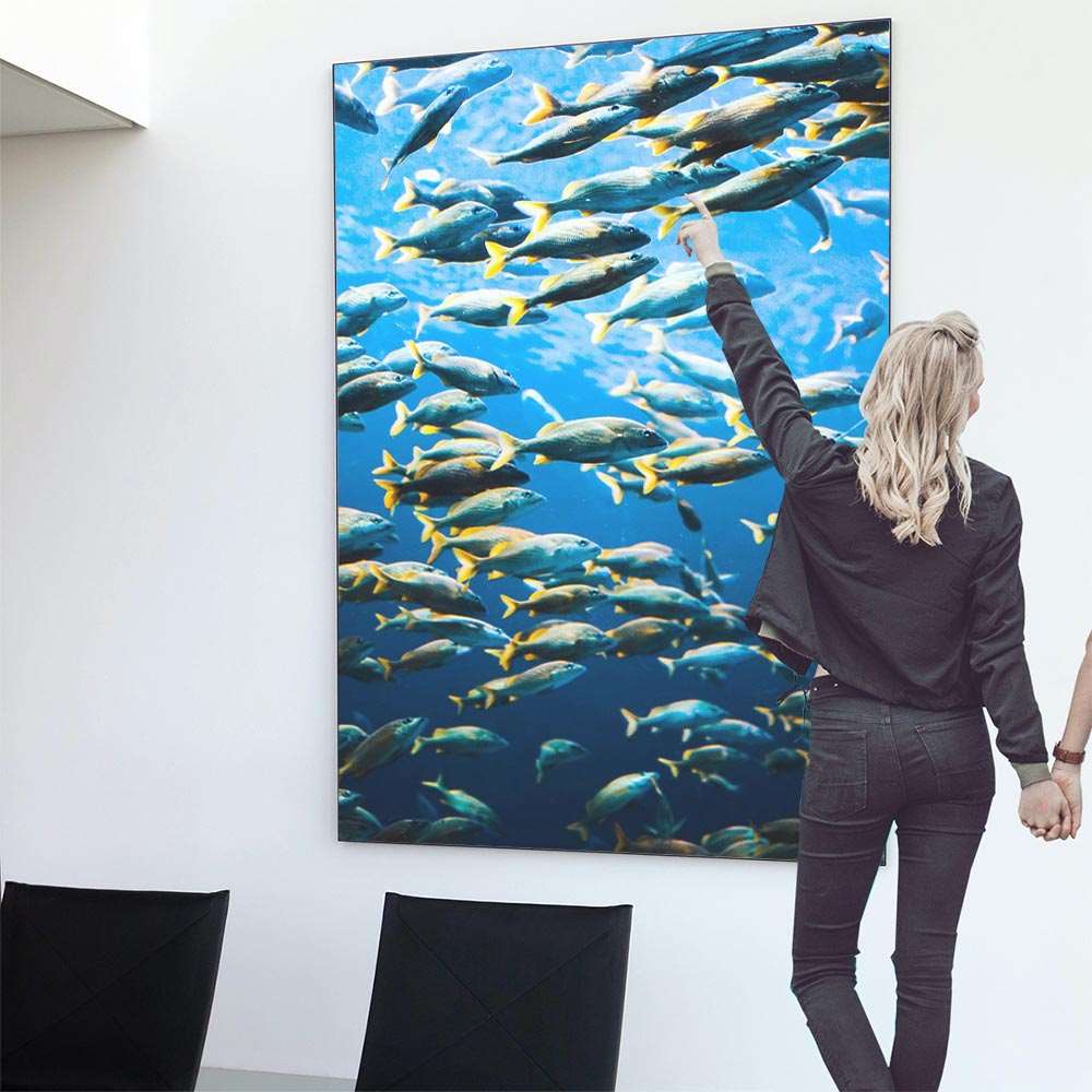 楽天市場】魚 魚群 熱帯魚 ポスター 海の生き物 オーシャン 【用紙