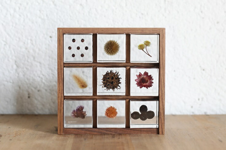 楽天市場】【送料無料】宙-sola- ソラ sola cube 標本箱木箱セット