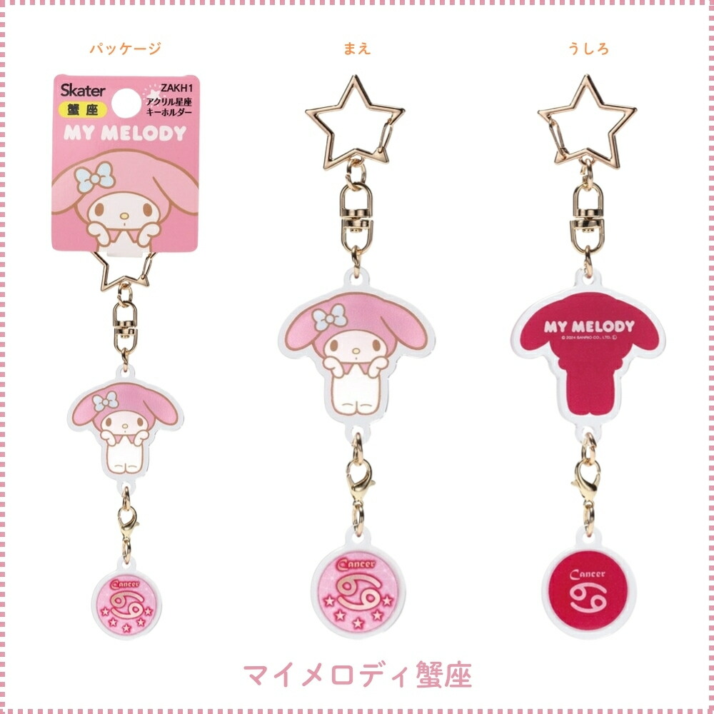 楽天市場】【2025 年間ベストショップ受賞】スケーター ZAKH1 アクリル