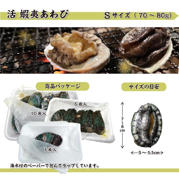 楽天市場】活 蝦夷あわび 70～80g Sサイズ [あわび] : まるか水産楽天