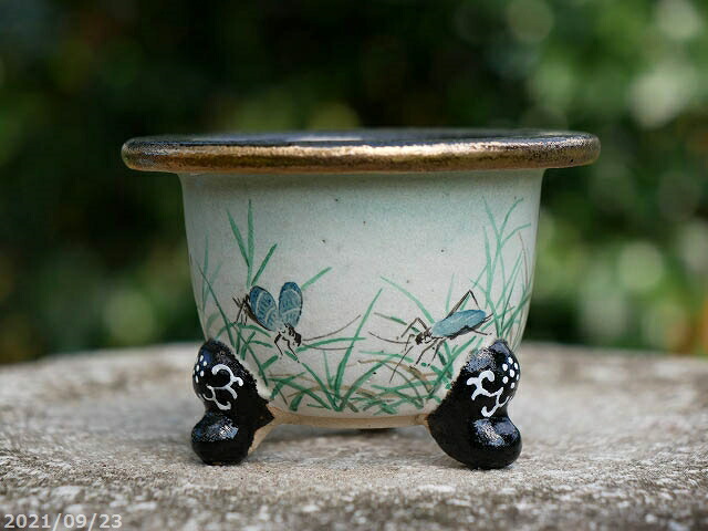 楽天市場】京楽焼 植木鉢 愛楽園製 富貴蘭鉢 清山作 「鈴虫」 3.5号