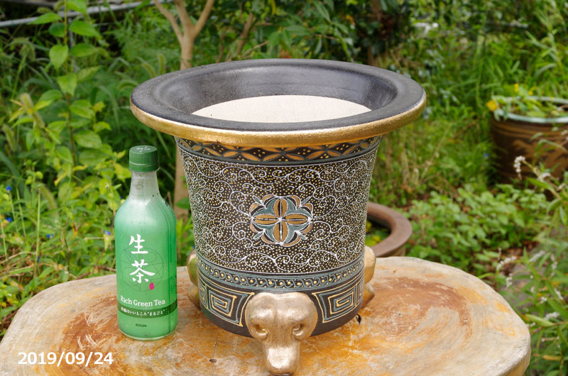 楽天市場】【現品 No.0354】 京楽焼 植木鉢 澤善作 万年青錦鉢 10号