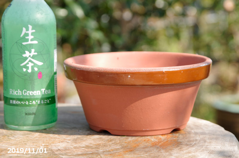 楽天市場】常滑焼 植木鉢 駄温鉢 浅型 6号（直径18cm） 【山野草鉢