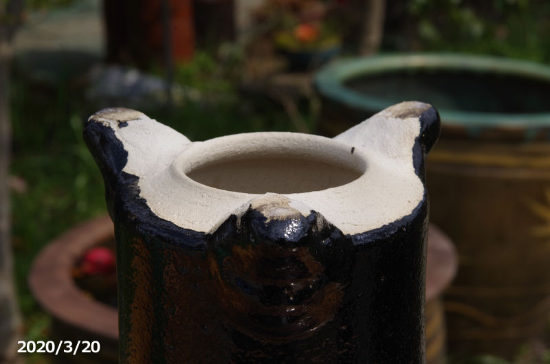 楽天市場】※窯元直送 愛楽園 万年青鉢 6号 ☆サナサービス☆【京楽鉢