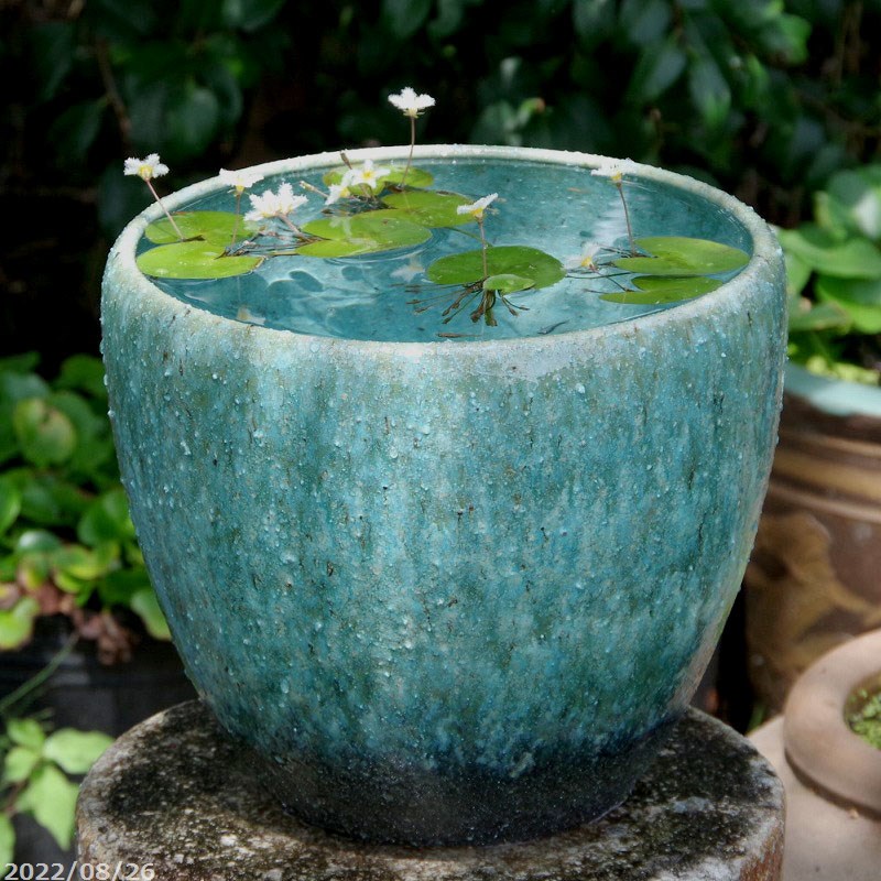 楽天市場】選べる 手づくり 緑窯変 10号深型（外径29cm 高さ25cm 容量