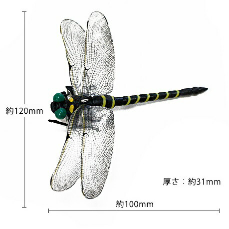 楽天市場】メール便可 ミキロコス 天敵で虫除け オニヤンマ M-42