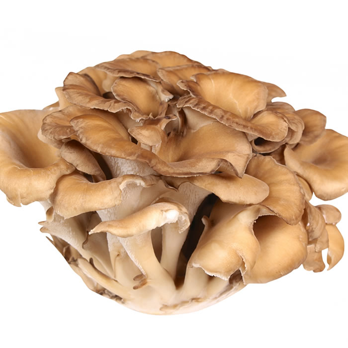 楽天市場】【本州送料無料 箱売】 舞茸 100g 20パック入 1箱 長野