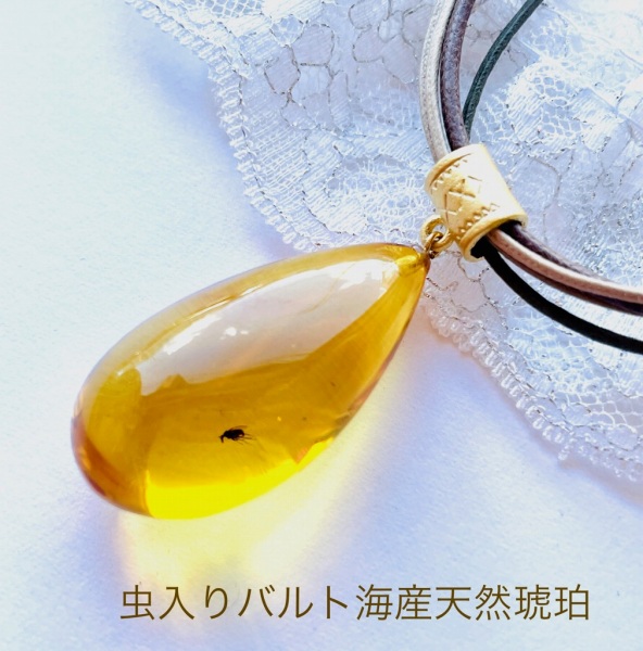 楽天市場】【虫入り天然琥珀】【琥珀 ネックレス】【琥珀ペンダント