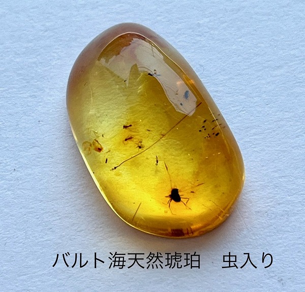 虫入り 琥珀」の人気商品一覧 | 安い商品を通販サイトから探す - 価格.com