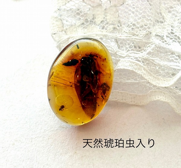 楽天市場】【虫入り琥珀】琥珀ルース 天然琥珀 パワーストーン