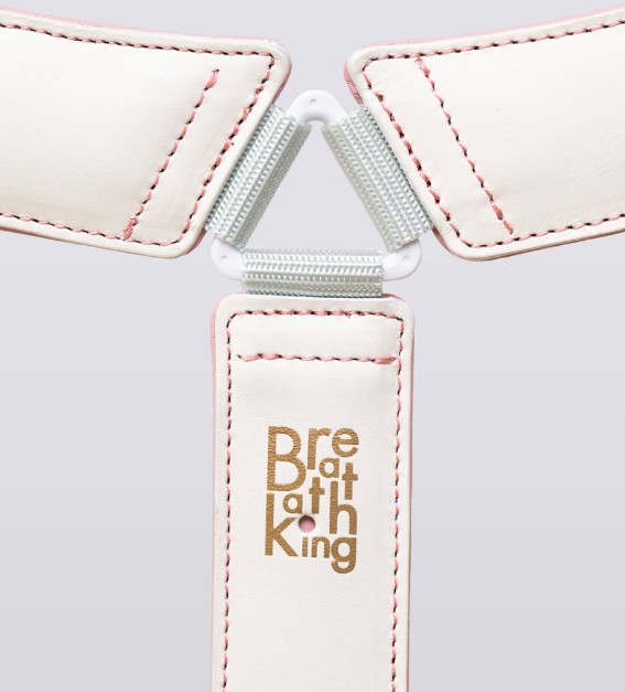 楽天市場】【2026年限定モデル】Lithe Premium II-R Saxophone Strap