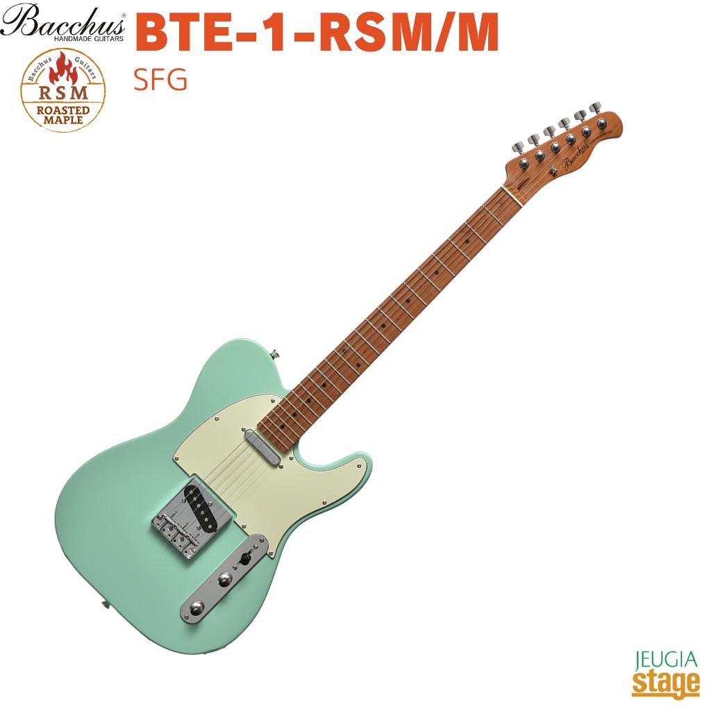 Bacchus エレキギター テレキャスター」の人気商品一覧 | 安い商品を