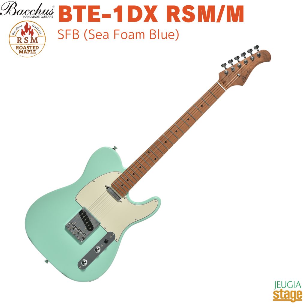 Bacchus エレキギター テレキャスター」の人気商品一覧 | 安い商品を