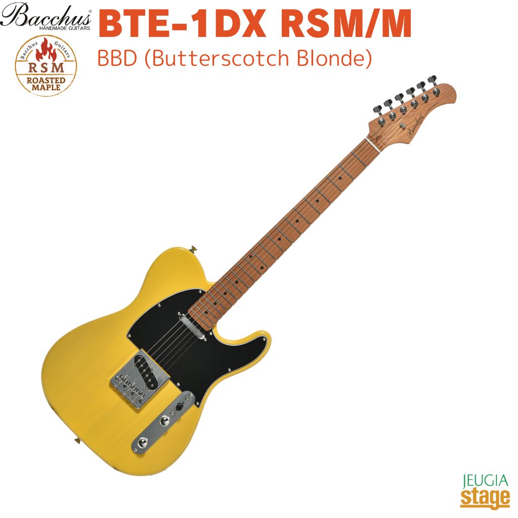 Bacchus エレキギター テレキャスター」の人気商品一覧 | 安い商品を