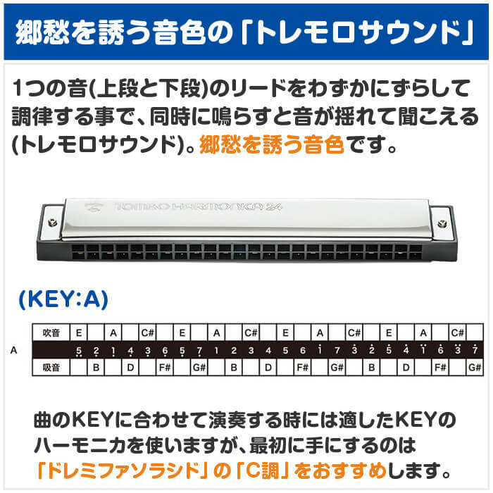 楽天市場】ハーモニカ トンボ No.3124 A トンボバンド 24穴 (TOMBO